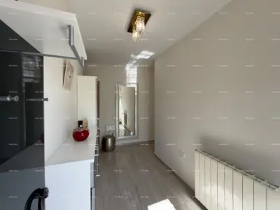 House 353 m², Ližnjan - 3 apartments and garage - 9
