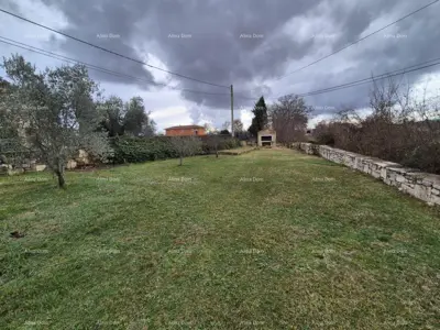 House - 11