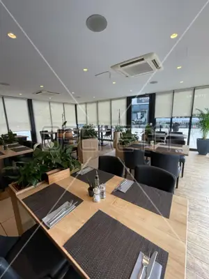Commercial property for sale in Savica, 149 m²