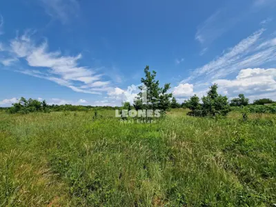 Građevinsko zemljište 3 000 m², Umag - blizu mora - 4