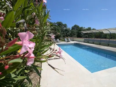 House 1,200 m², Pula - Šijana, two pools and yard - 6