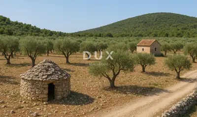 Agricultural land 14,738 m², Sutivan on the island of Brač