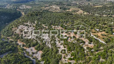 Landwirtschaftsfläche 29.032 m², Škrip, Blick auf den Brački Kanal - 8