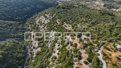 Landwirtschaftsfläche 29.032 m², Škrip, Blick auf den Brački Kanal - 10