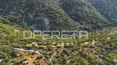 Landwirtschaftsfläche 29.032 m², Škrip, Blick auf den Brački Kanal - 12
