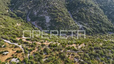 Landwirtschaftsfläche 29.032 m², Škrip, Blick auf den Brački Kanal - 22