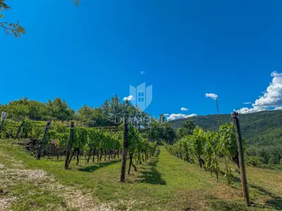 Building plot 1,970 m², Motovun - view of Motovun - 7