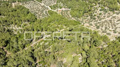 Poljoprivredno zemljište 8.956 m², Vela Luka, blizu mora - 10