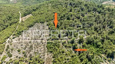 Poljoprivredno zemljište 8.956 m², Vela Luka, blizu mora - 3