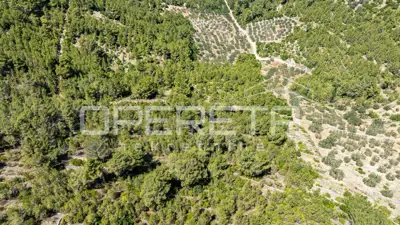 Poljoprivredno zemljište 8.956 m², Vela Luka, blizu mora - 8