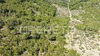 Poljoprivredno zemljište 8.956 m², Vela Luka, blizu mora - 6