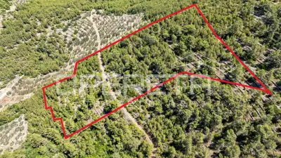 Poljoprivredno zemljište 8.956 m², Vela Luka, blizu mora