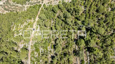 Poljoprivredno zemljište 8.956 m², Vela Luka, blizu mora - 11