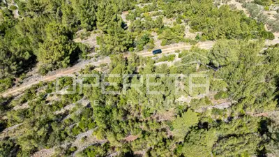 Poljoprivredno zemljište 8.956 m², Vela Luka, blizu mora - 12