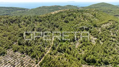 Poljoprivredno zemljište 8.956 m², Vela Luka, blizu mora - 2