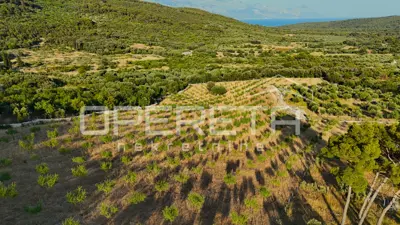 Poljoprivredno zemljište 18.889 m², Novo Selo na Braču, mirno okruženje - 8