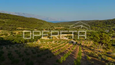 Poljoprivredno zemljište 18.889 m², Novo Selo na Braču, mirno okruženje - 3
