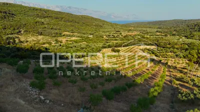 Poljoprivredno zemljište 18.889 m², Novo Selo na Braču, mirno okruženje - 7