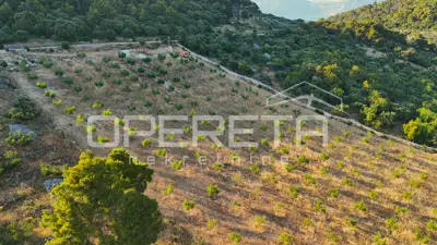 Poljoprivredno zemljište 18.889 m², Novo Selo na Braču, mirno okruženje - 4