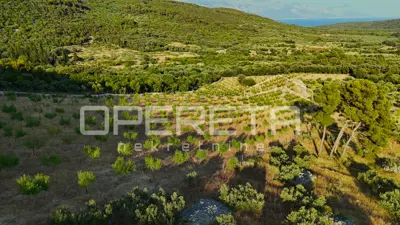 Poljoprivredno zemljište 18.889 m², Novo Selo na Braču, mirno okruženje - 5