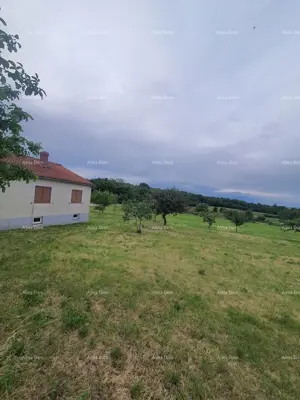 Family house with garage, tavern, and the possibility of purchasing additional land – 30 minutes from Pula - 4