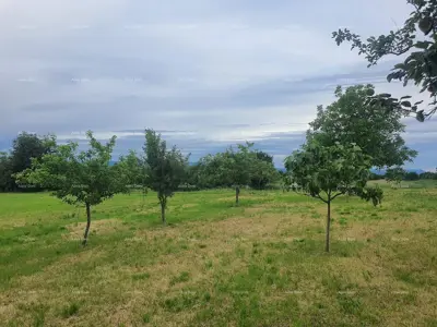 Family house with garage, tavern, and the possibility of purchasing additional land – 30 minutes from Pula - 6