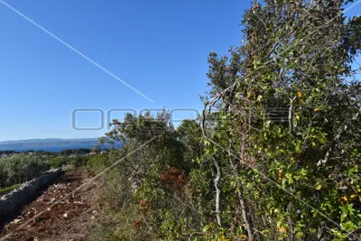 Baugrundstück 2 709 m², Nečujam, Meerblick - 10