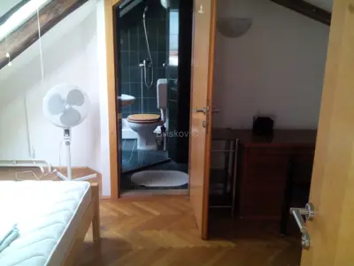 Wohnung 145 m², Donji grad, Palmotićeva ulica, geräumig und hell - 5