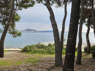 Rovinj, am Strand und im Kiefernwald, zwei Wohnungen für den Tourismus - 9