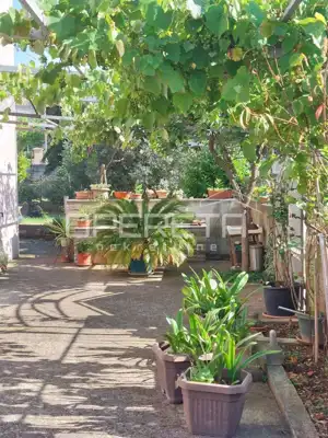 Pula, veli vrh - 7