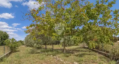 Vikendica 56 m², Pavićini - 2 spavaće sobe