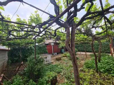 Kuća 300 m², Jadreški - veliko dvorište - 15