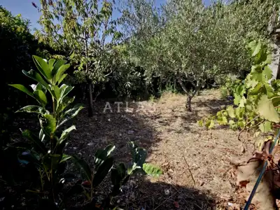 House for sale in Grbci, 276 m² - 12