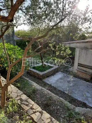 Kastel Luksic, detached house and approx. 3.000 m² of land - 15