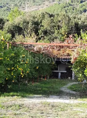 Kastel Luksic, detached house and approx. 3.000 m² of land - 11