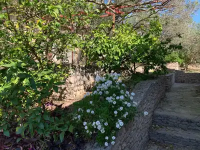 Kastel Luksic, detached house and approx. 3.000 m² of land - 13