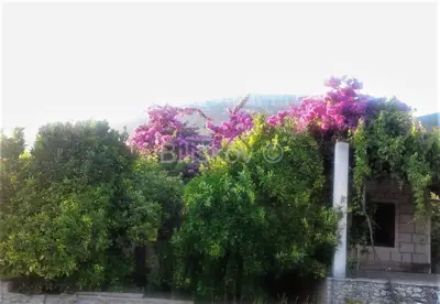 Kastela, Kastel Luksic, samostojeca kuca i cca. 3.000 m² zemljista.