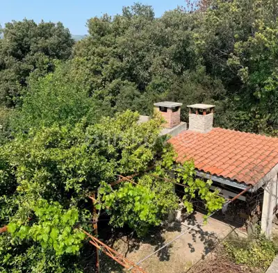 Kastel Luksic, detached house and approx. 3.000 m² of land - 10