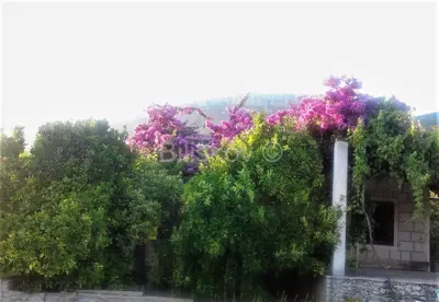 Kastela, Kastel Luksic, samostojeca kuca i cca. 3.000 m² zemljista.