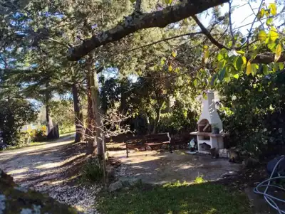 Kuća s velikom okućnicom u okolici, poreča! - 6