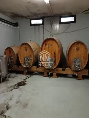 12 ha vineyard, Breznički Hum - complete equipment and building - 15