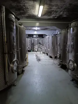 12 ha vineyard, Breznički Hum - complete equipment and building - 17