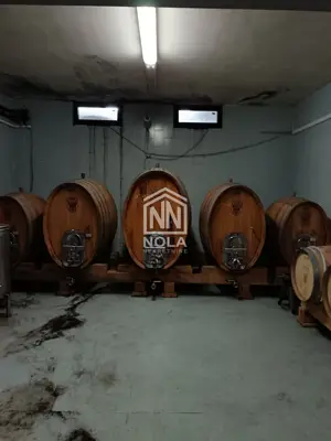 12 ha vineyard, Breznički Hum - complete equipment and building - 14