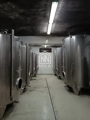 12 ha vineyard, Breznički Hum - complete equipment and building - 13