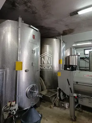 12 ha vineyard, Breznički Hum - complete equipment and building - 6