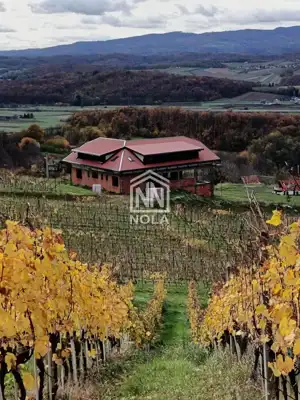 12 ha vineyard, Breznički Hum - complete equipment and building