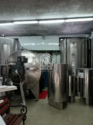 12 ha vineyard, Breznički Hum - complete equipment and building - 8