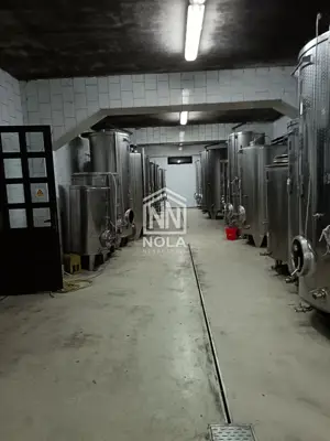 12 ha vineyard, Breznički Hum - complete equipment and building - 11