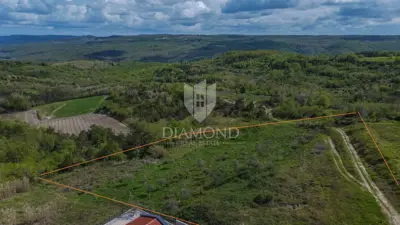 Building plot 5,600 m², Buje - view of Grožnjan and Motovun - 3