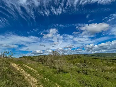 Building plot 5,600 m², Buje - view of Grožnjan and Motovun - 8